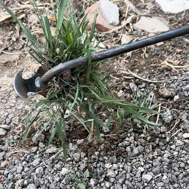 🔥HOT SALE 50% OFF🔥Gardening Hand Weeder Tool