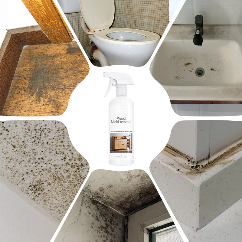 🔥🔥🔥Effective Wood Mold & Mildew Stain Remover