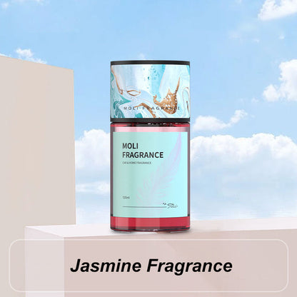 Long-Lasting Car Fragrance