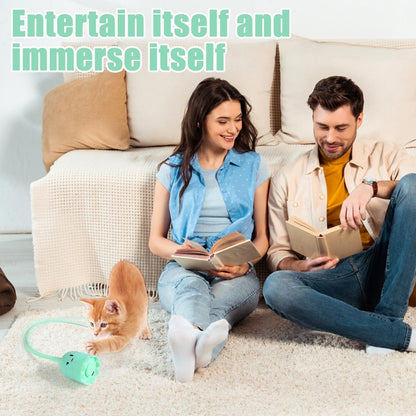 🔥BUY 2 GET 10% OFF💝High-tech Electric Teaser Tail Cat Toy