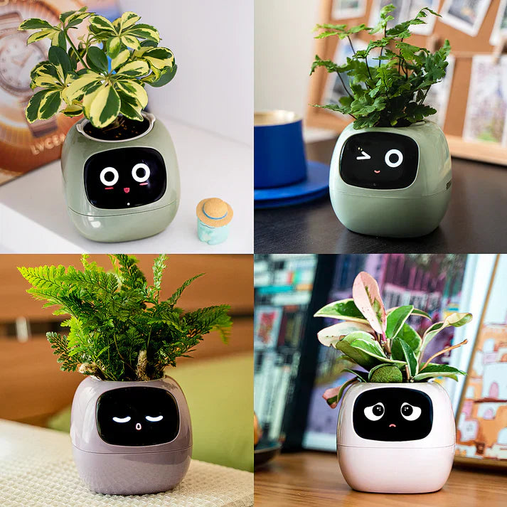 Fun Smart Flowerpot with Multiple Expressions, Plant-Free