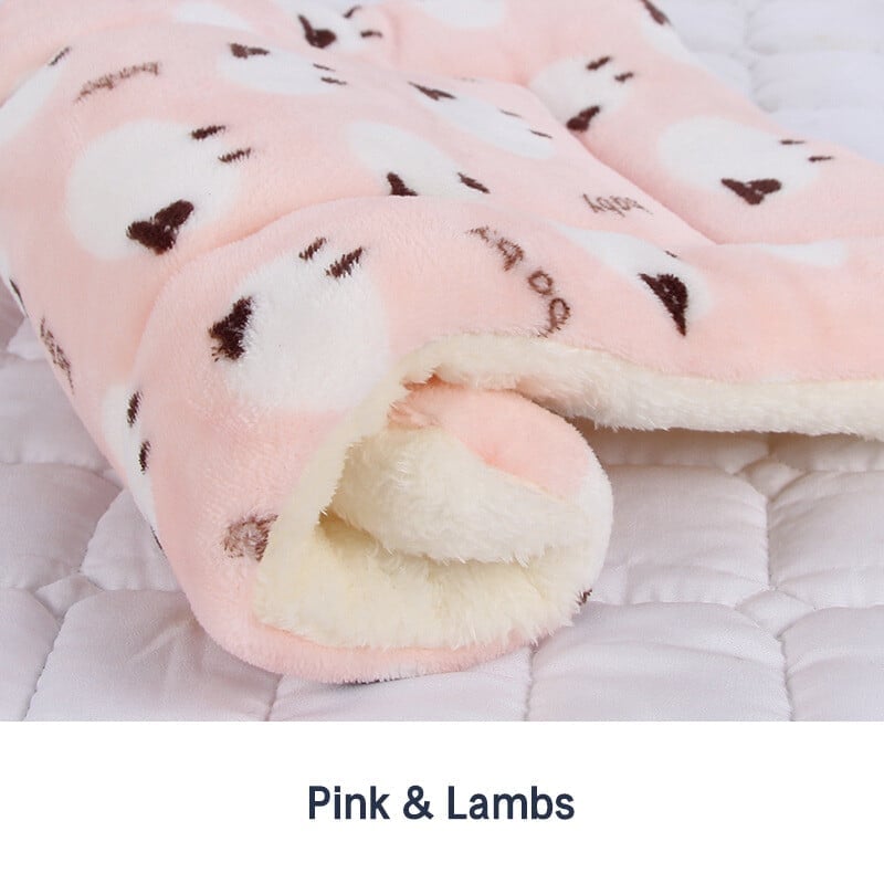 🐾Hot Sale 49% OFF🐱2025 New Upgraded Super Cosy Calming Cat Blanket