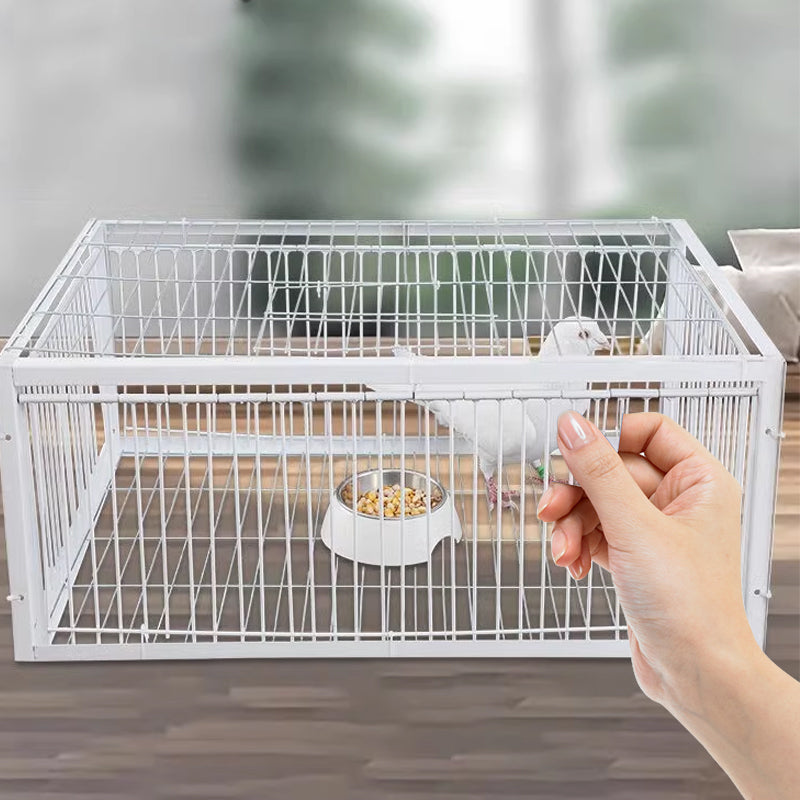 AutoTrap Bird Cage - Entry Only, No Exit