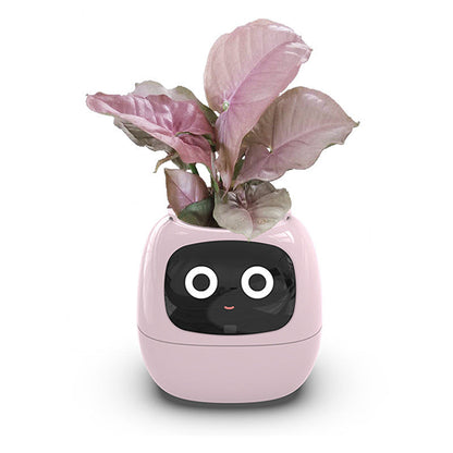 Fun Smart Flowerpot with Multiple Expressions, Plant-Free