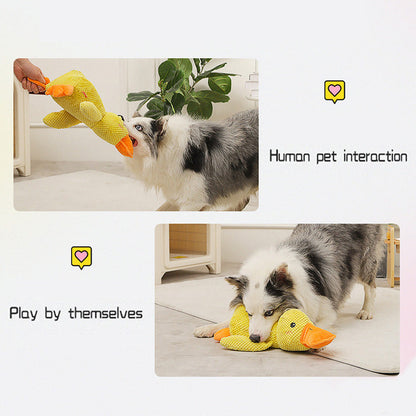 🐺Gift Choice - Durable Plush Chew Toy with Sound for Dogs---😘😘