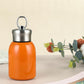 Stylish & Portable Insulated Water Bottle