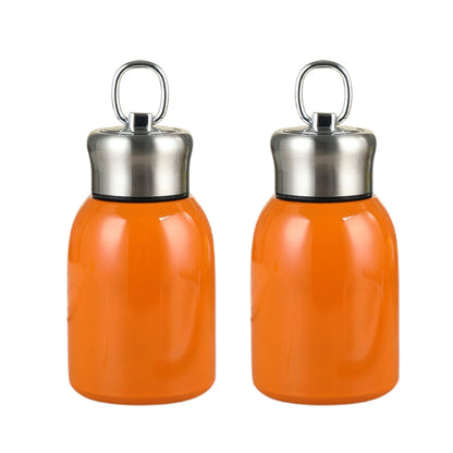 Stylish & Portable Insulated Water Bottle