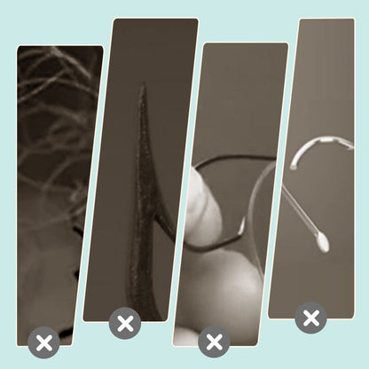 360° Floating Bait Cage Fishing Hook