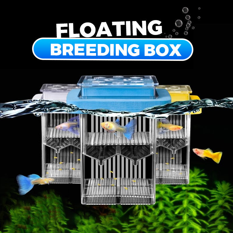 4-Layer Protective Detachable Acrylic Fry Hatching Box