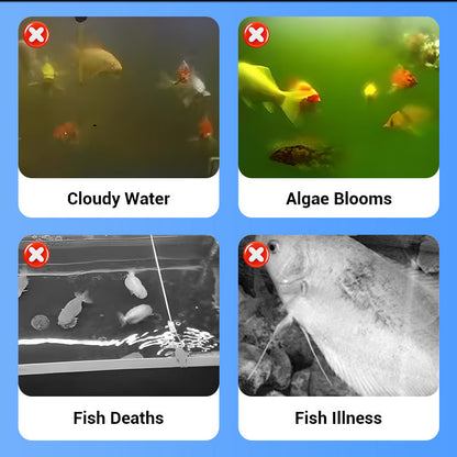 4-Layer Protective Detachable Acrylic Fry Hatching Box