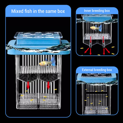 4-Layer Protective Detachable Acrylic Fry Hatching Box