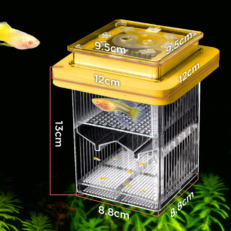 4-Layer Protective Detachable Acrylic Fry Hatching Box