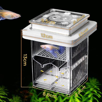 4-Layer Protective Detachable Acrylic Fry Hatching Box