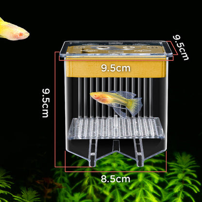 4-Layer Protective Detachable Acrylic Fry Hatching Box