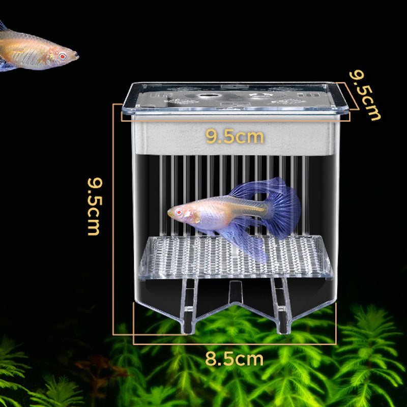 4-Layer Protective Detachable Acrylic Fry Hatching Box