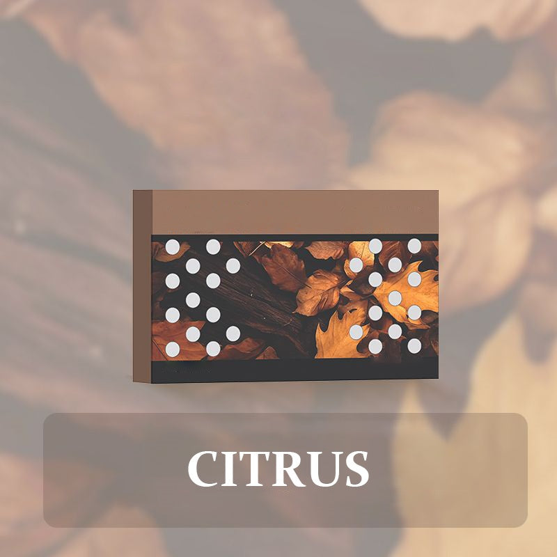 🎉 Limited Launch Offer!🎉 Car Air Freshener Solid Fragrance🌿