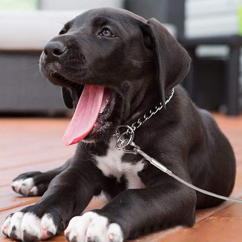 Heavy Duty Tie Out Cable for Dogs