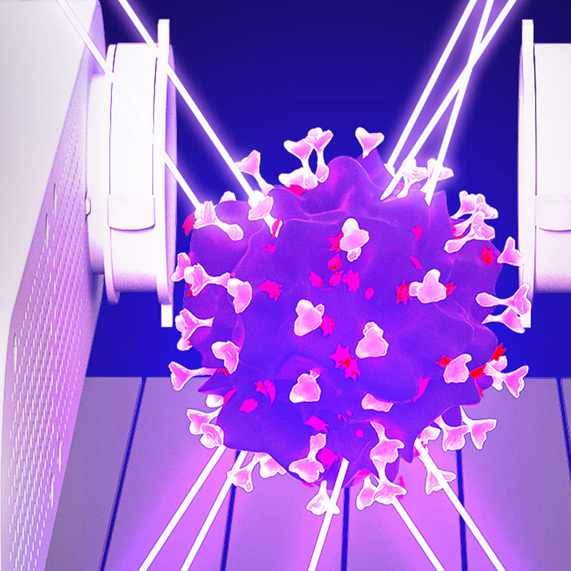 Electric UV Shoe Dryer with Timer