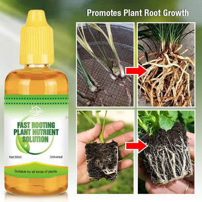 Fast Rooting Plant Nutrient Solution（50% OFF）