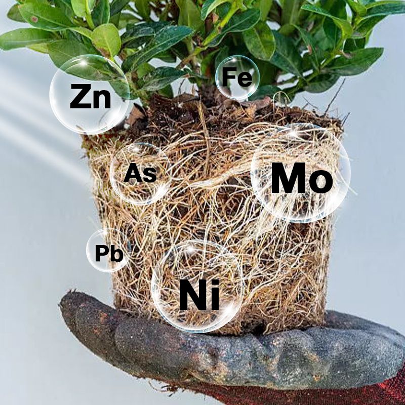 Fast Rooting Plant Nutrient Solution（50% OFF）