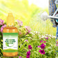 Fast Rooting Plant Nutrient Solution（50% OFF）