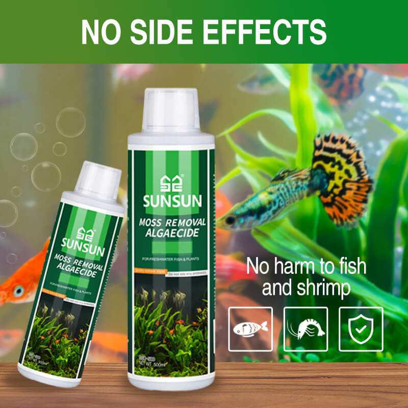 Moss Remover for Fish Tank