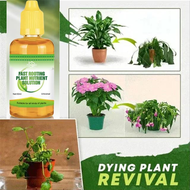 Fast Rooting Plant Nutrient Solution（50% OFF）