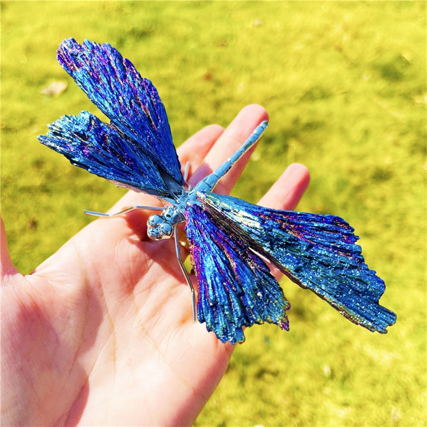 Aura Tourmaline Kyanite Dragonely