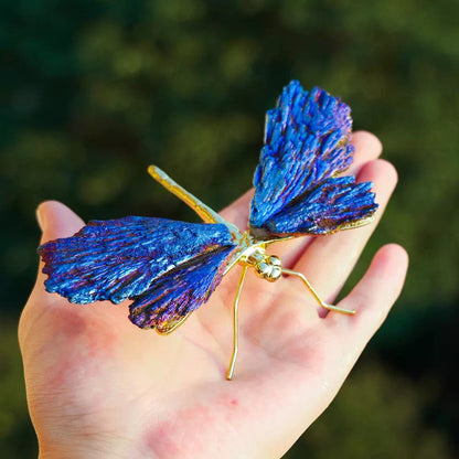 Aura Tourmaline Kyanite Dragonely