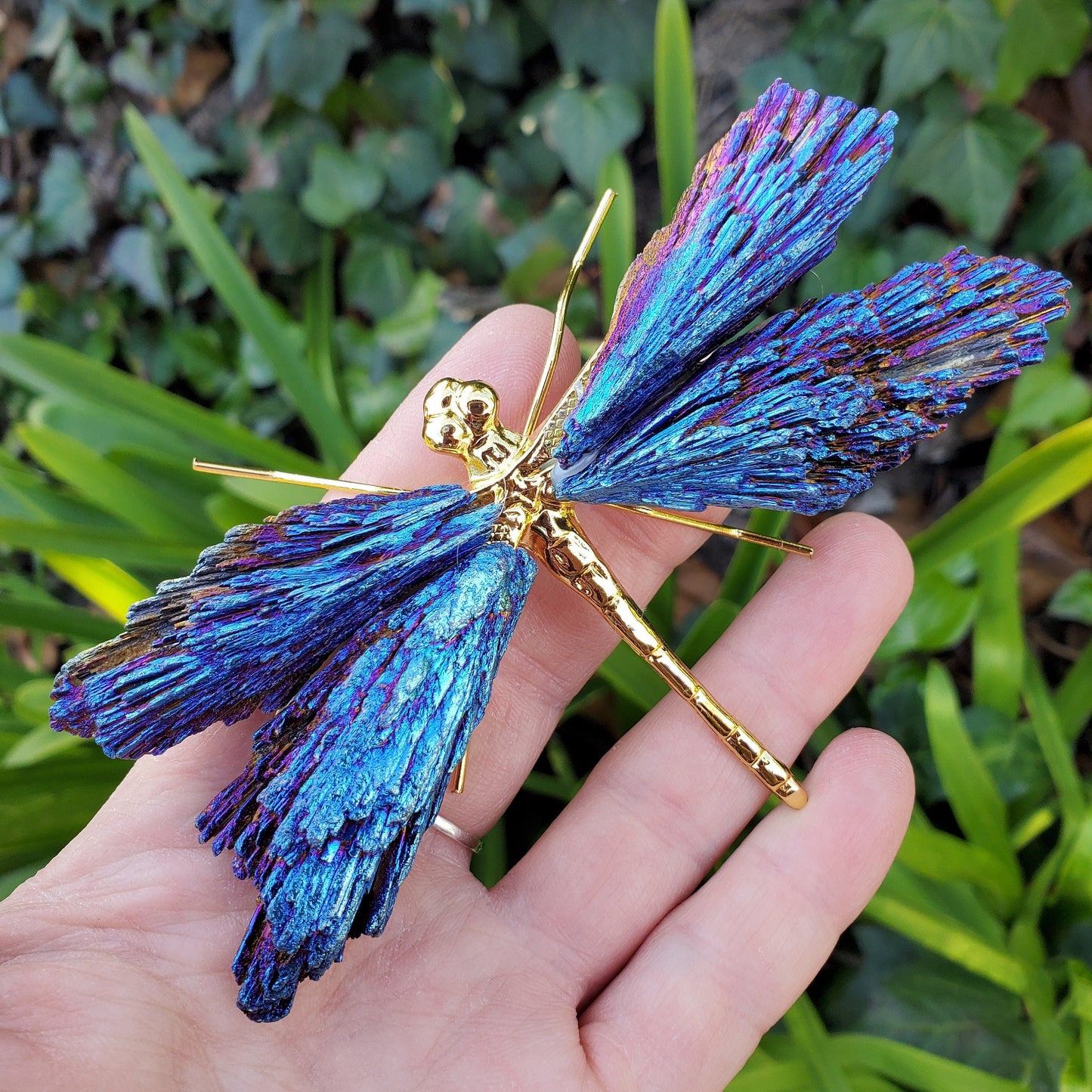 Aura Tourmaline Kyanite Dragonely