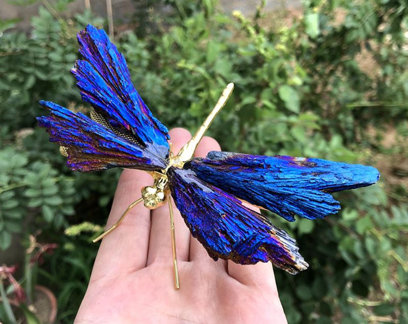 Aura Tourmaline Kyanite Dragonely